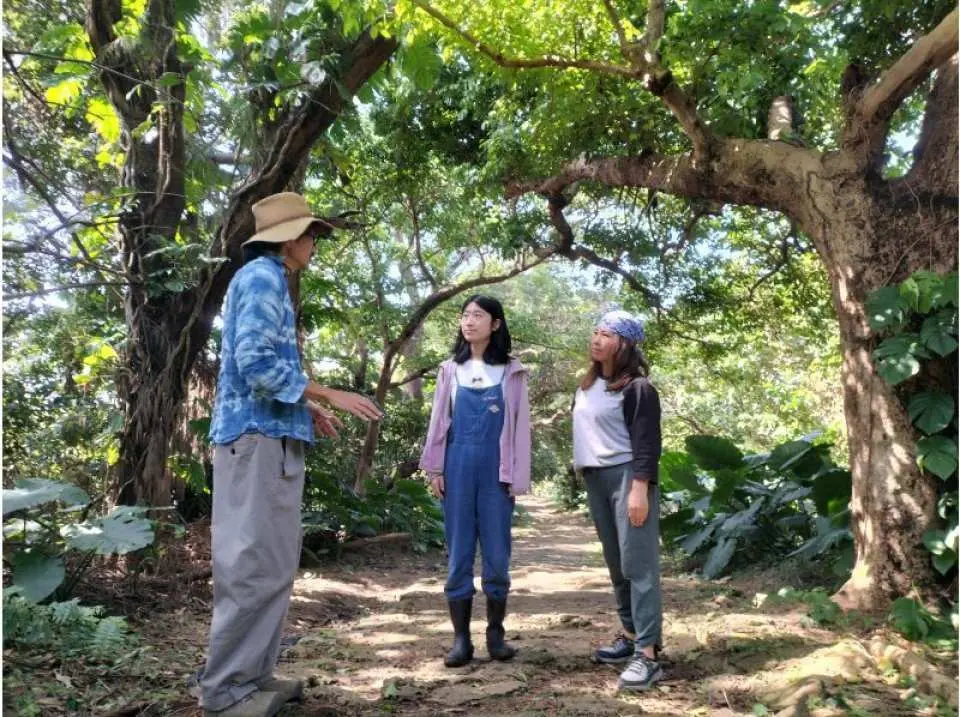 Stroll through the garden, which is about 600 tsubo (approximately 2,000 square meters).