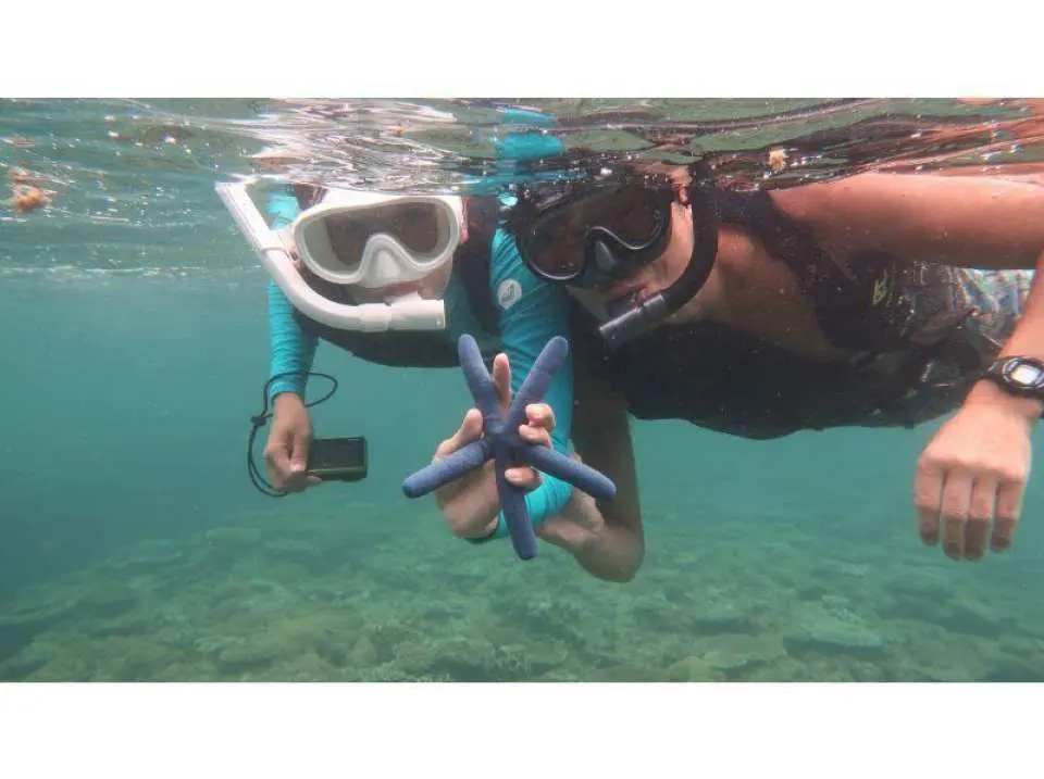 透明度の高い海！
