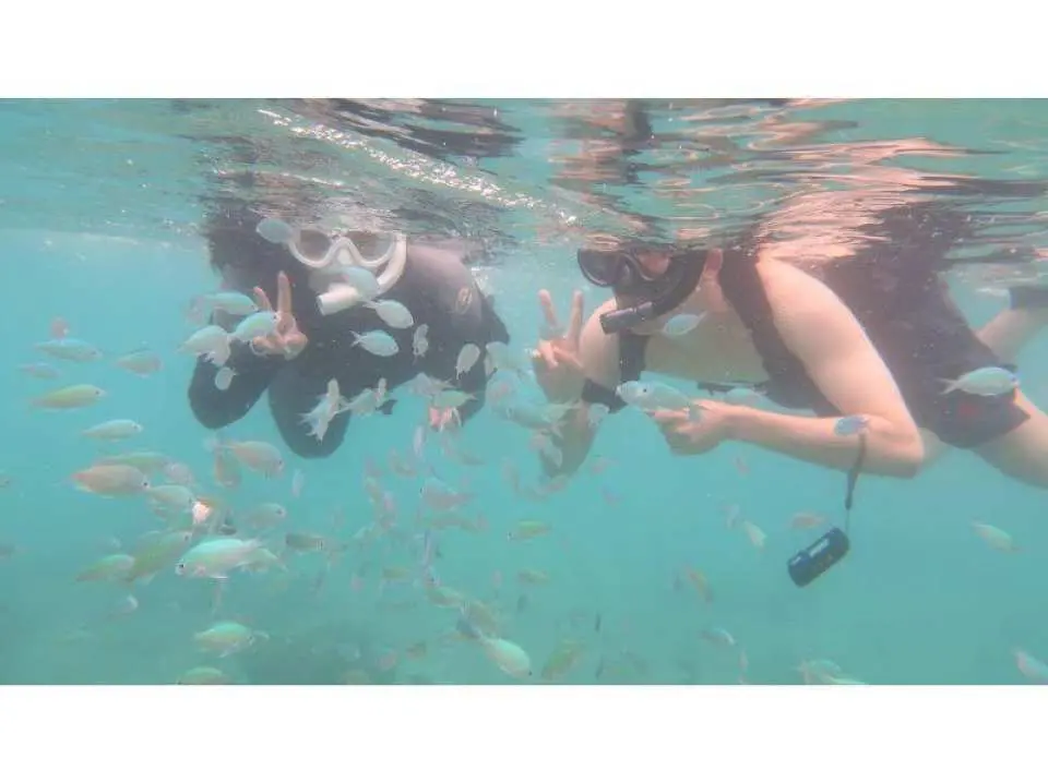 透明度の高い海。スケスケの海の中を覗くと感動のひとこと！