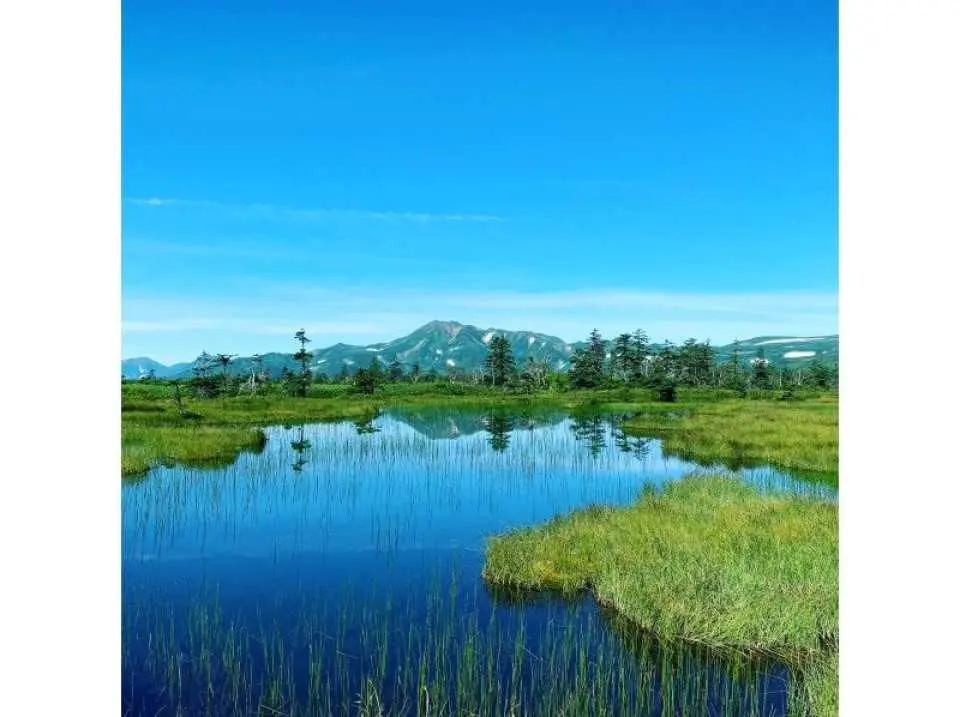 Hiking itinerary: Arrive at the trailhead. Warm-up exercises before entering the mountain (10 minutes).

Start hiking at the trailhead. Breaks and lectures are available along the way (300 minutes).

Arrive at the trailhead. 
Take a bath at a nearby hot spring, then be transported back to Sapporo Station.