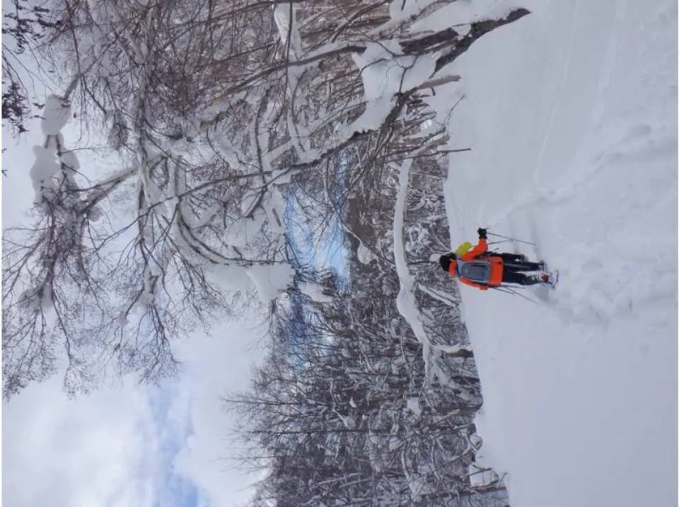 The trees bending under the weight of the snow are a sight to behold!