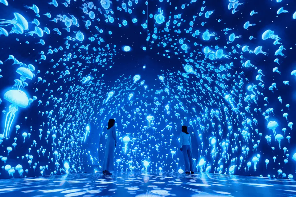 Wonderia YOKOHAMA Ticket | Immersive Light Experience