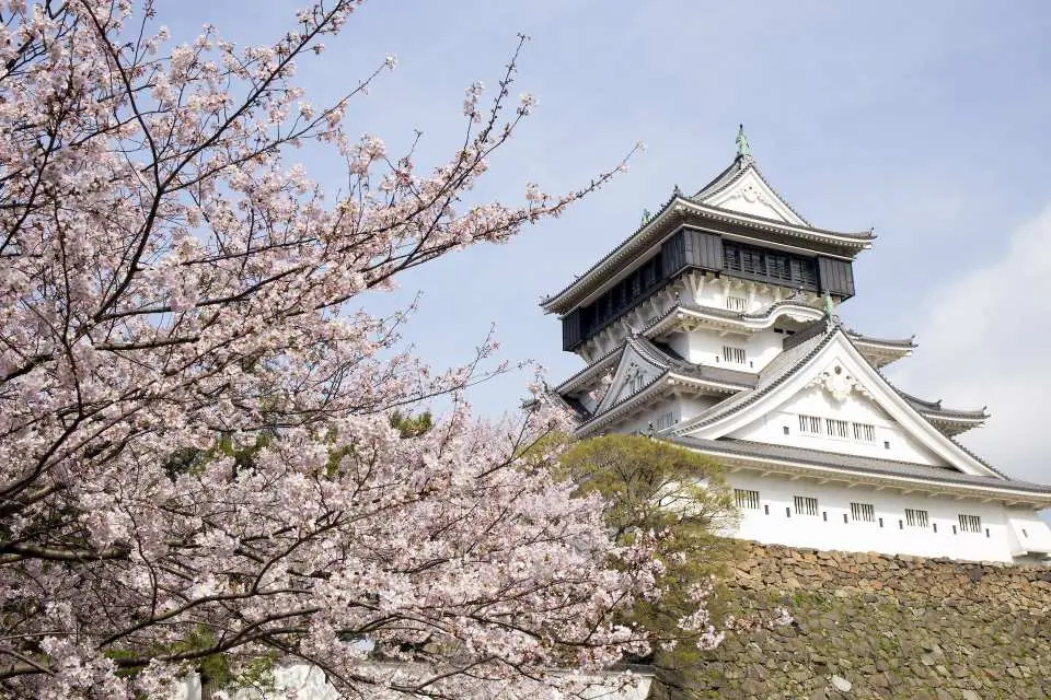小倉城と小倉城庭園：福岡県北九州市の中心部に位置する小倉城は、17世紀に築城された九州を代表する歴史ある城郭の一つです。福岡県で唯一天守閣を有する城でもあり、CNNトラベルで「日本で最も興味深い城」の一つに選ばれたこともあります。優雅な外観の城は、鳥居と並んで写真撮影ができる人気のフォトスポットとなっています。小倉城庭園は、江戸時代の大名庭園の様式を再現した伝統的な回遊式庭園です。書院や茶室などを備え、四季折々の風情を堪能でき、ゆったりと散策しながら日本の美意識に触れるのに最適です。