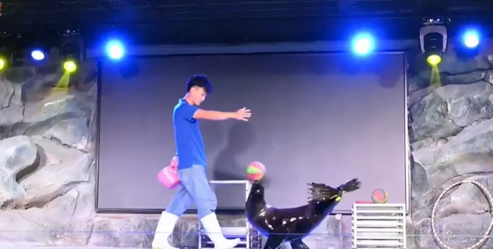 精彩表演