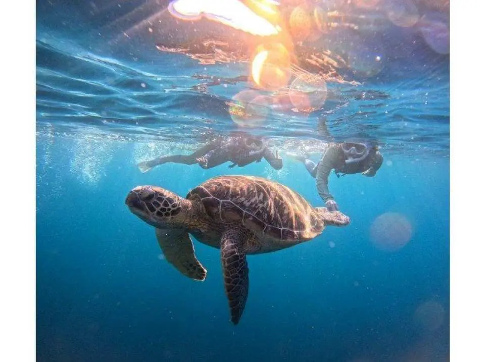 水中写真プレゼント♪