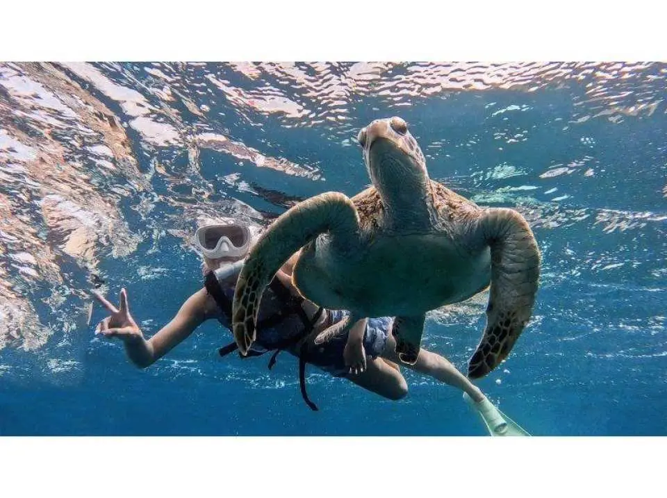 水中写真プレゼント♪