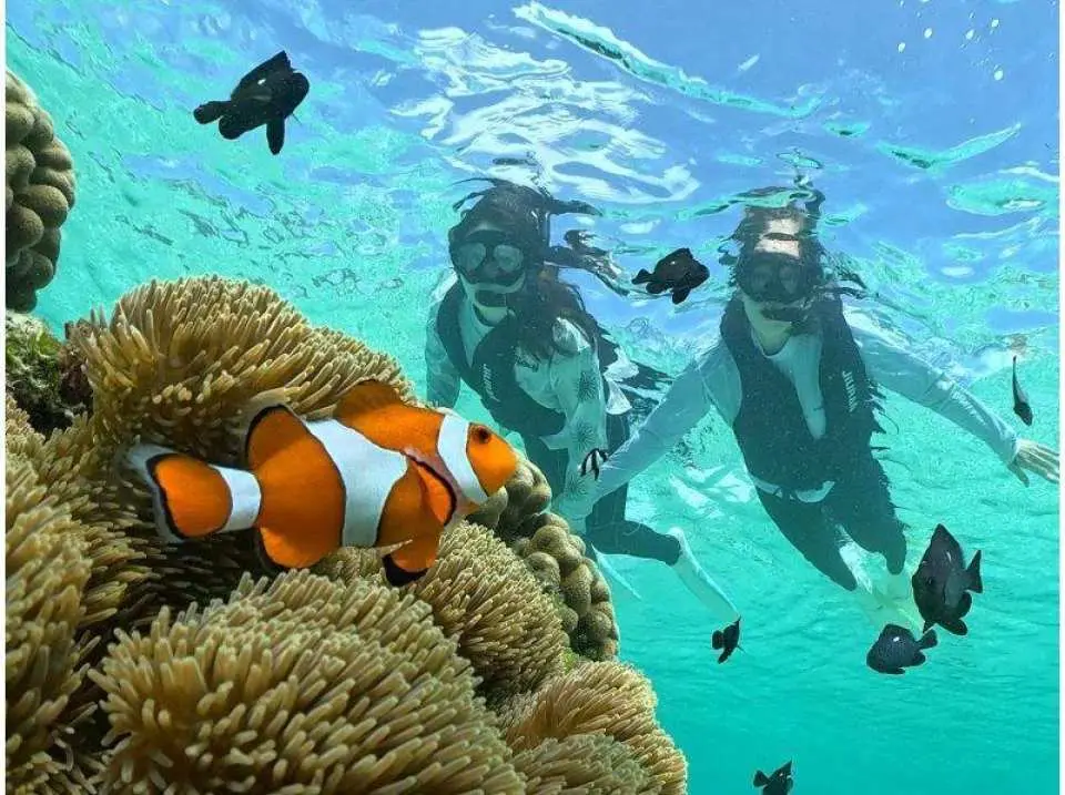 Free rental of necessary equipment!