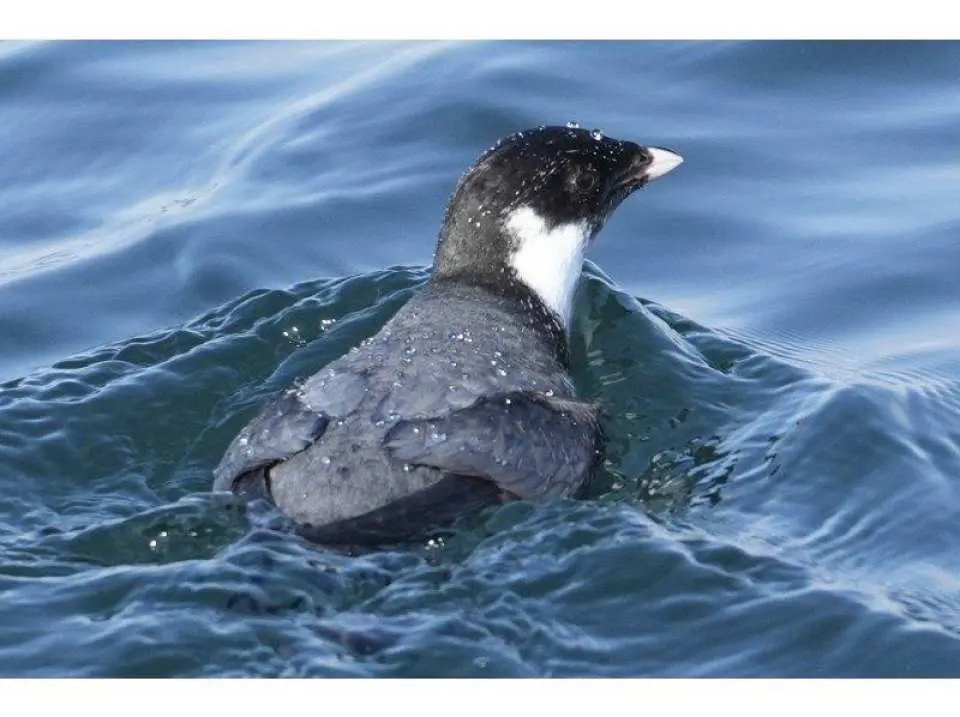 Each photographer has their own way of enjoying the experience