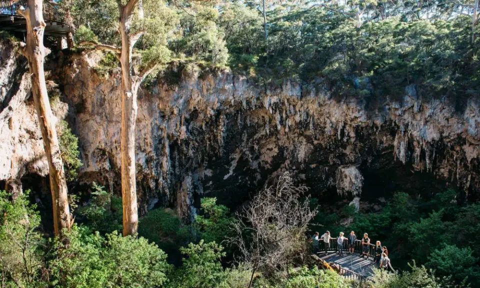 Views into the sinkhole from 'the Deck' in the forest canopy