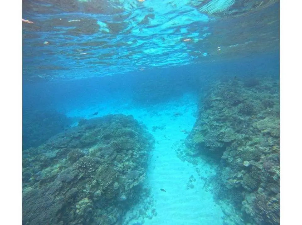 水納島