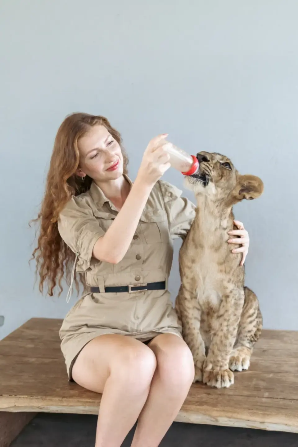 전문가의 지도 아래 만지고, 먹이를 주고, 잊지 못할 사진을 찍어보세요.