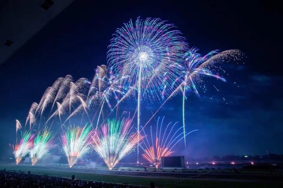 1万3000発の花火が、ロマンチックな夜空を照らし出した。