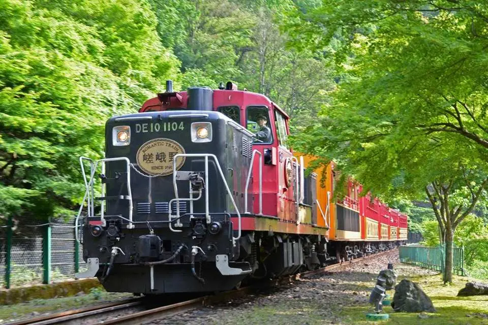 Experience the popular Arashiyama Scenic Railway and enjoy stunning mountain and forest scenery in all four seasons along the way.