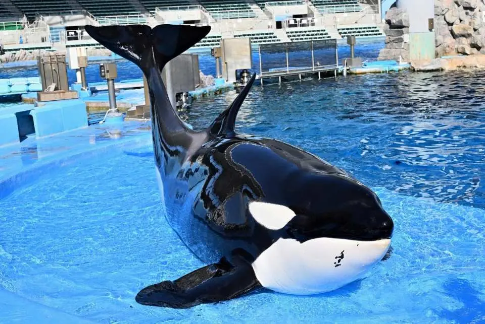 ⑦ 名古屋港水族館