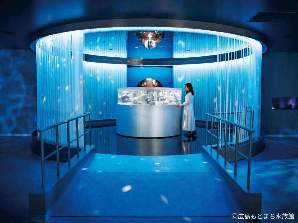 海洋笔记（多样性的景象）：体验令人叹为观止的海洋生物之美和惊人的多样性。