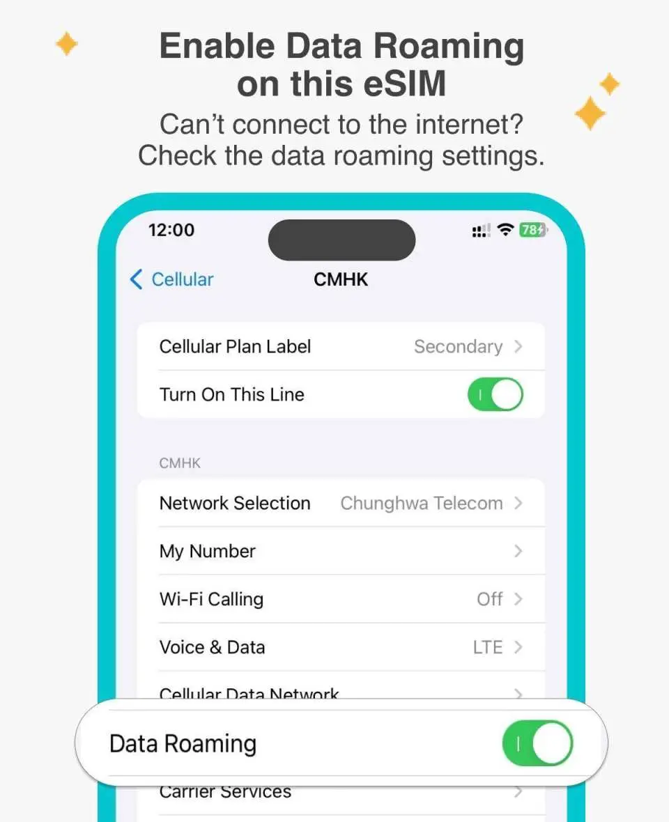 The roaming plan requires data roaming to be enabled.