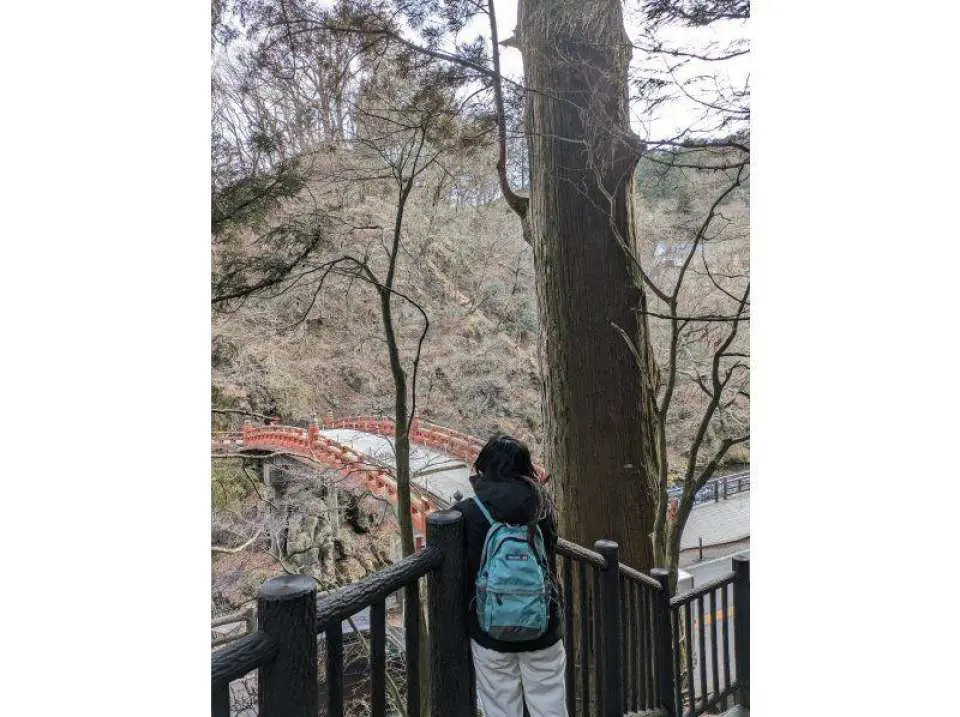 神橋と太郎杉