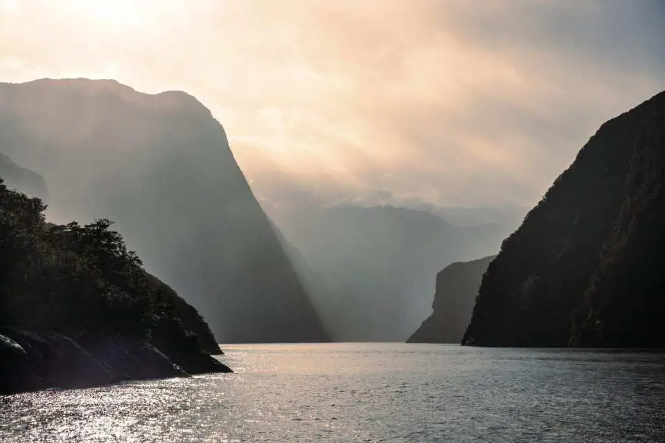 우뚝 솟은 절벽, 쏟아지는 폭포, 그리고 야생 동물로 둘러싸인 아름다운 밀포드 사운드 피오르드를 크루즈로 탐험해 보세요.