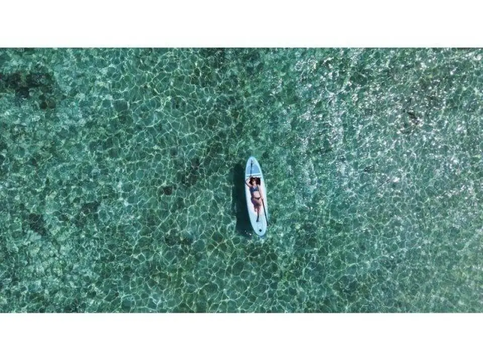 インスタ映え間違いなし