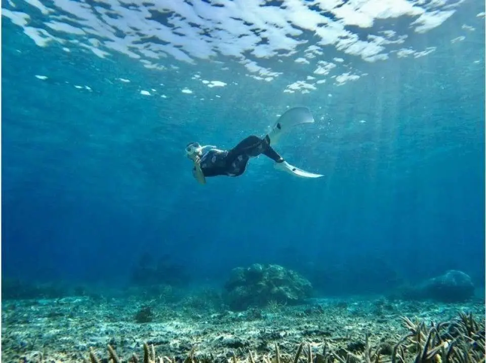 Miyako's most transparent waters