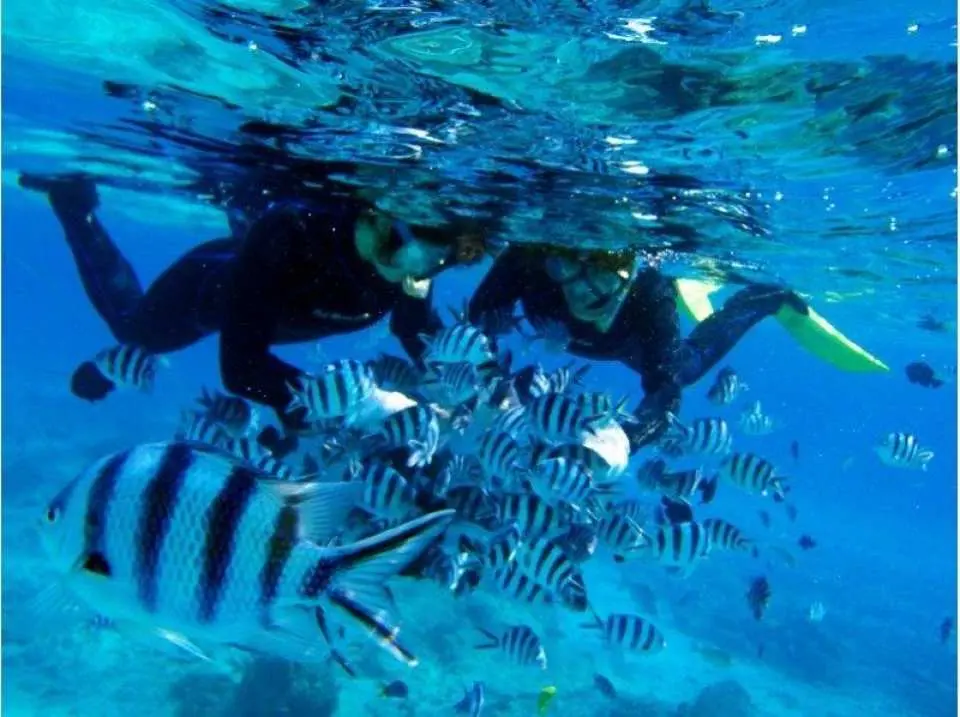 沢山の魚たちと戯れて