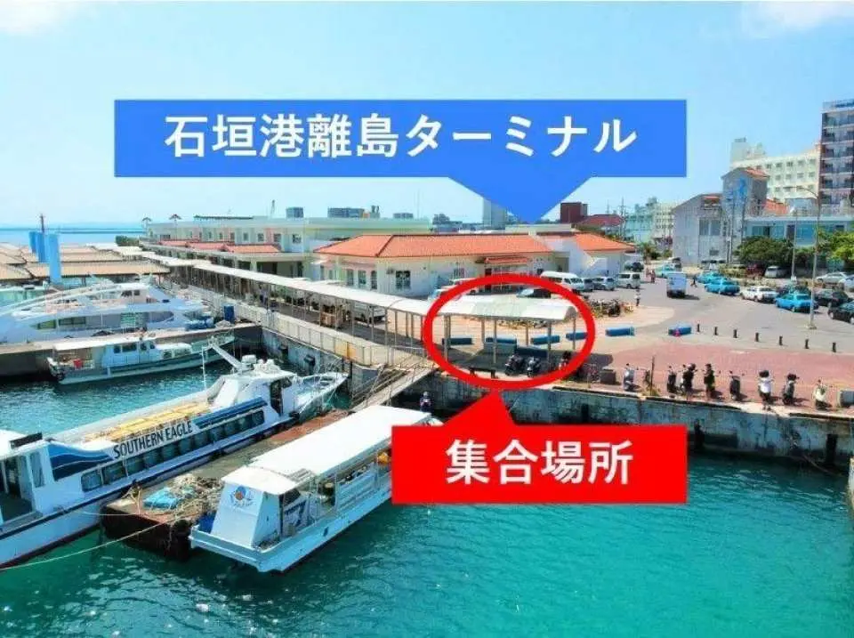 The meeting place is in front of boarding gate 2 at Ishigaki Port Ferry Terminal. Please gather at Ishigaki Port Ferry Terminal 10 minutes before departure.
↓ Board the boat and begin your journey.
↓ After approximately 30 minutes of travel, arrive at the "Phantom Island".
↓ Land on the Phantom Island.
↓ Move to the snorkeling point.
↓ Snorkeling experience.
↓ Move to the fishing point and experience fishing.
↓ Return to Ishigaki Port and disband.