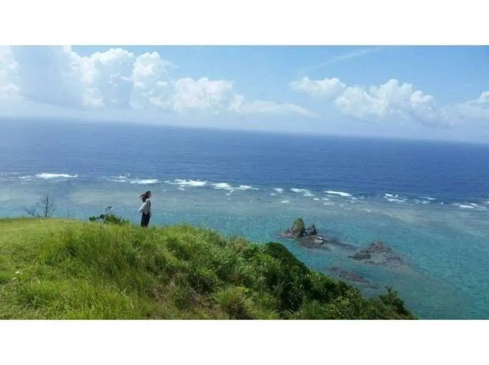Okinawa's No. 1 scenic spot: The Hill Where You Can See Dugongs