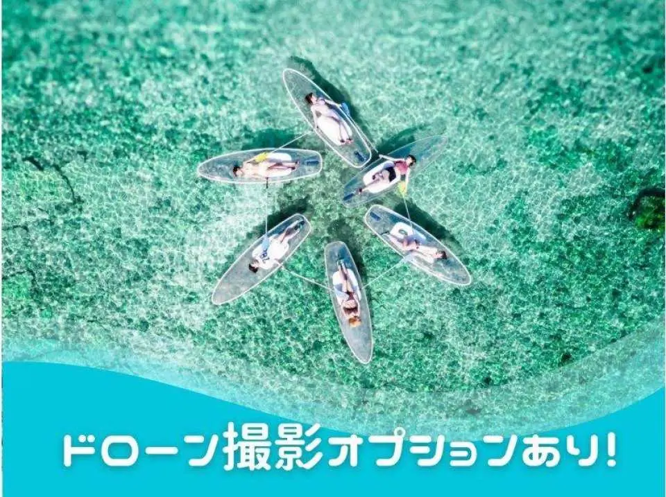ドローン撮影オプションあり