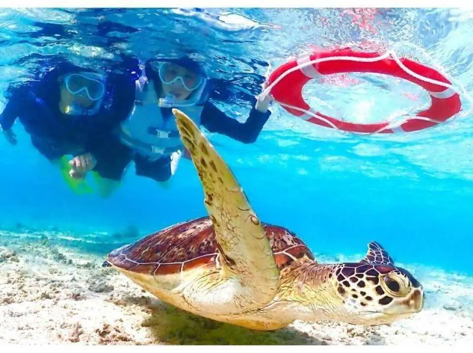 Beginners and those who are not confident swimmers can participate with ease.