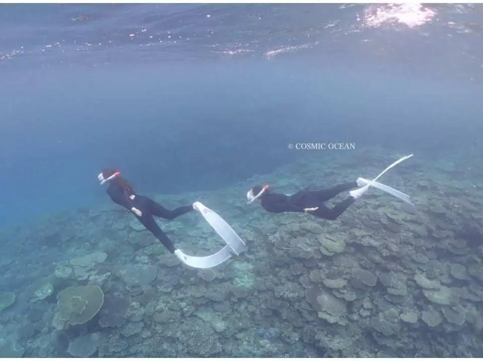 Skin diving (free diving)