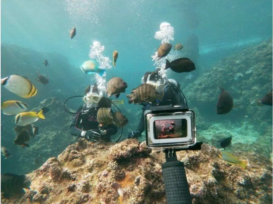 GoPro footage