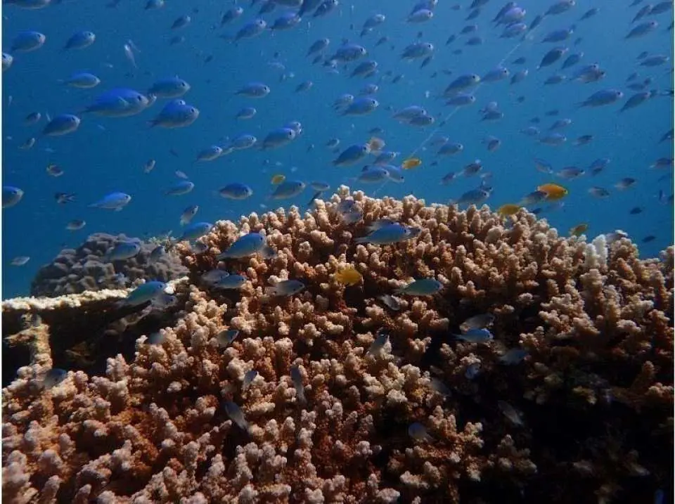 We will introduce more than 15 species of organisms.