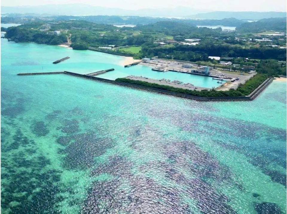 集合・受付。集合場所は古宇利島の向かいにある「なきじん漁港」港の中までエメラルドグリーンでテンション↑↑