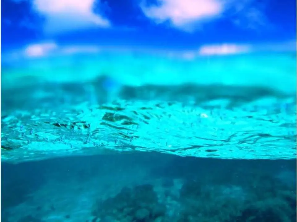 青い海に感動します