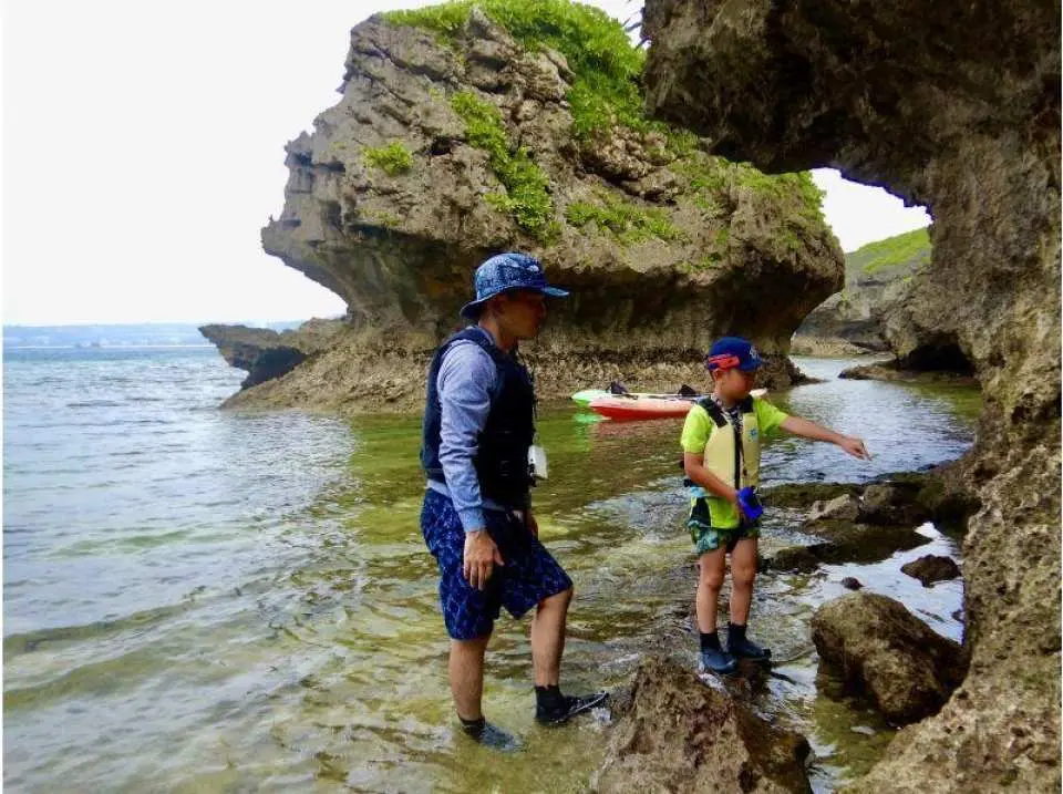 Let's go ashore and take a short break. You can see all sorts of creatures in the tide pools!