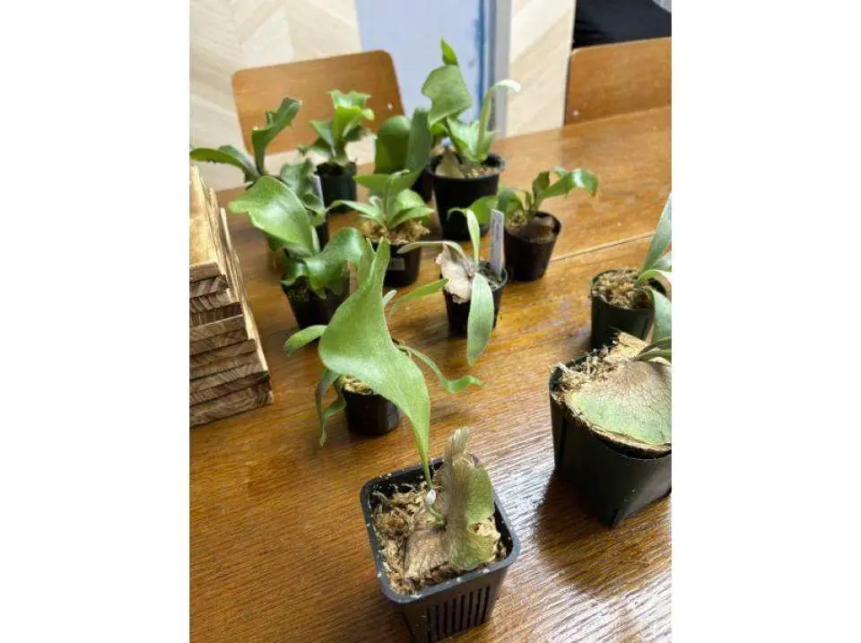 複数の株の中から選んでいたきます