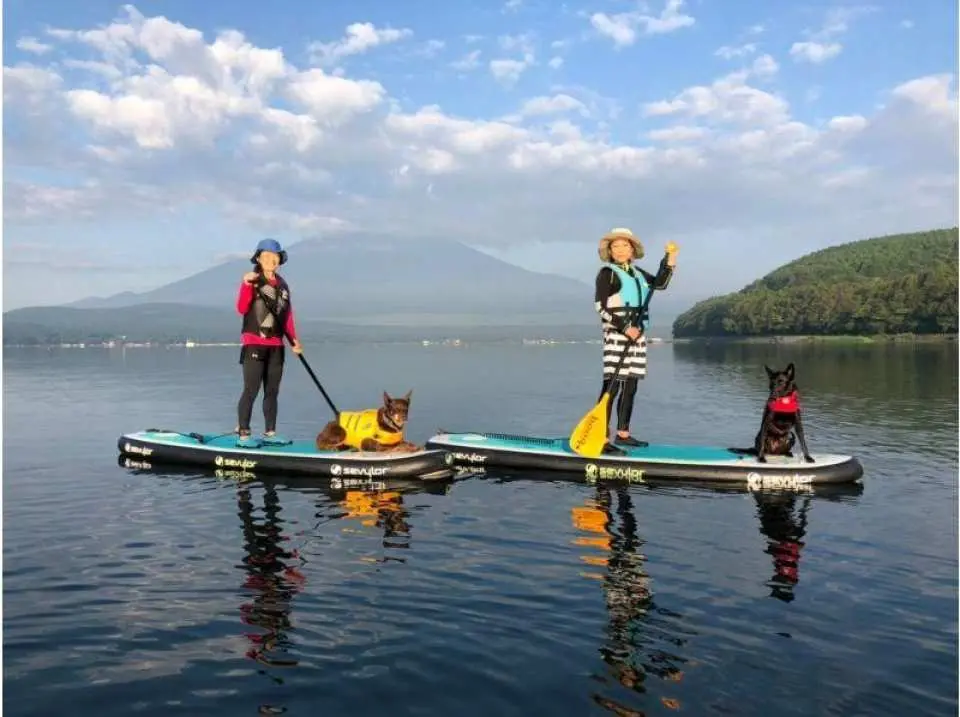 ワンチャンとのSUP
