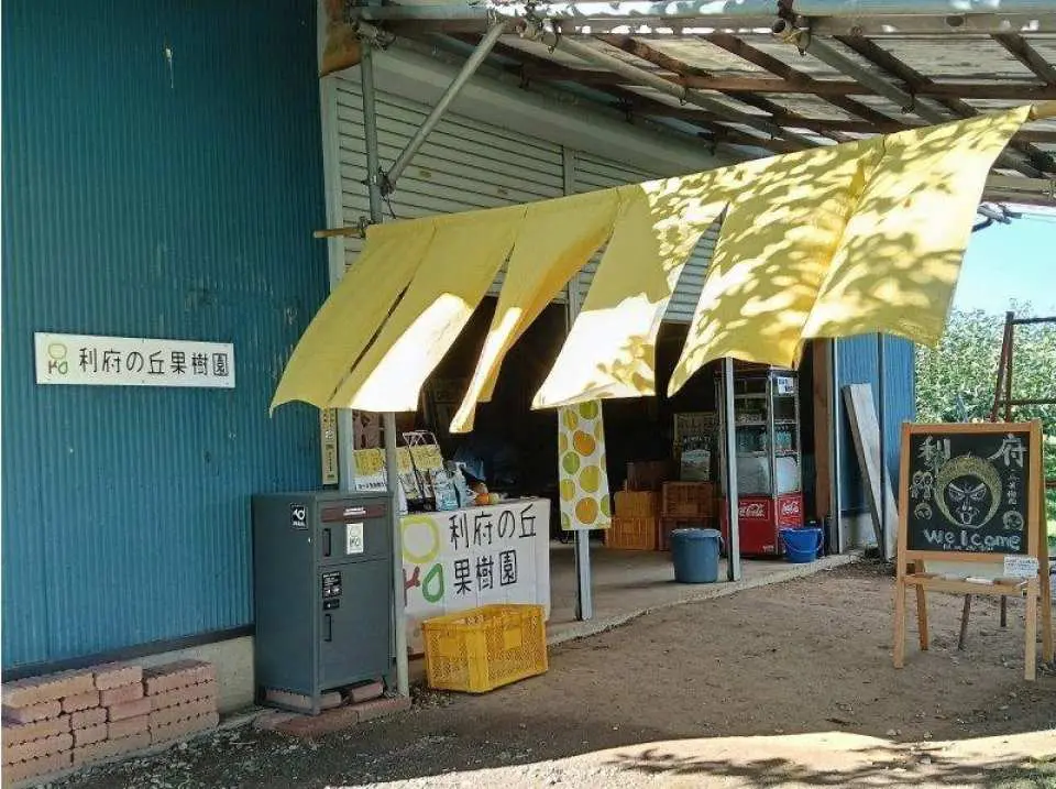 抵達後請辦理登記手續。您將收到一個採摘袋，並會聽取關於如何採摘植物的講解。
