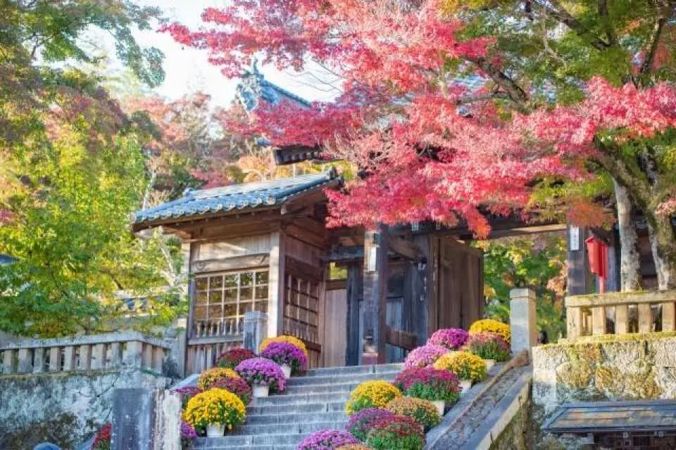 修禪寺～竹林小徑〜獨鈷之湯～足湯體驗