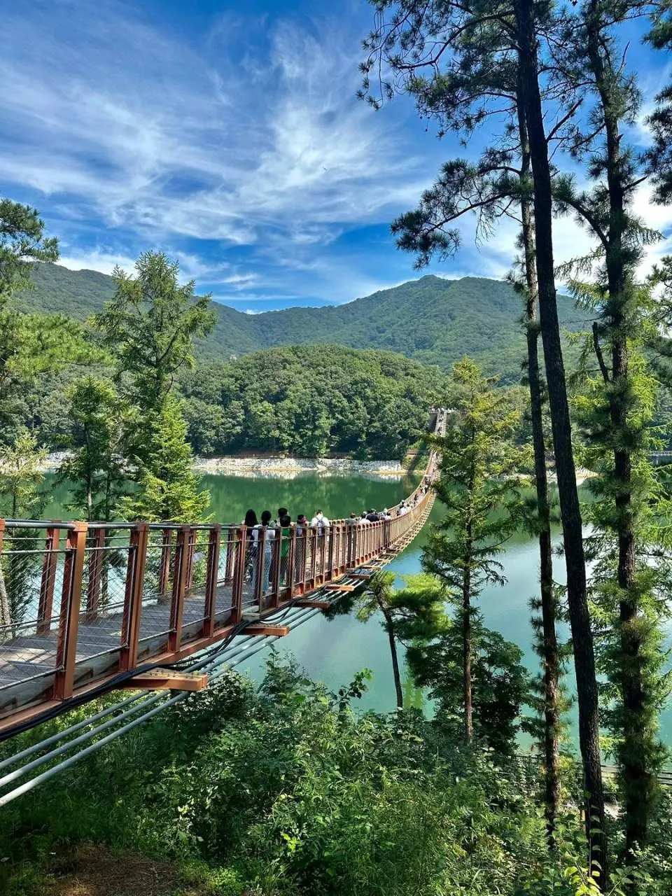 马场湖吊桥