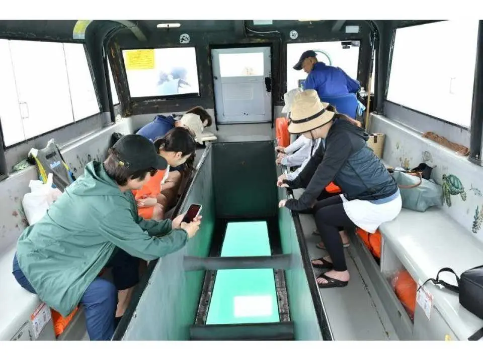 我们将前往哈特纳海滩，沿途欣赏水下美景…