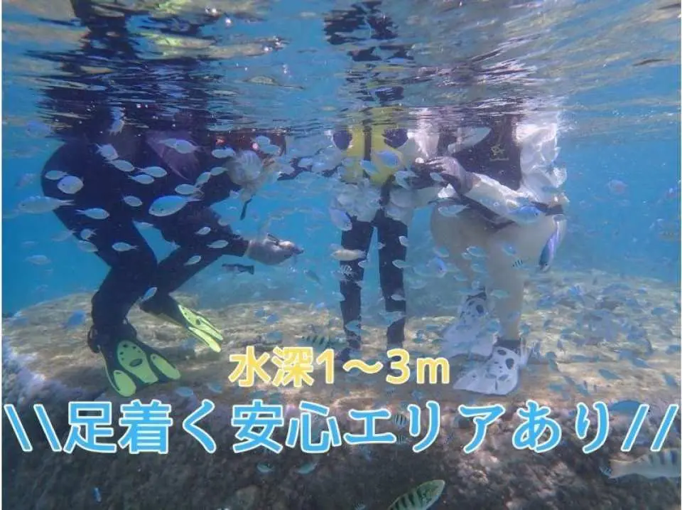 プールみたいな海