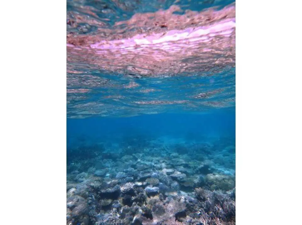Professionals who know the ocean inside and out