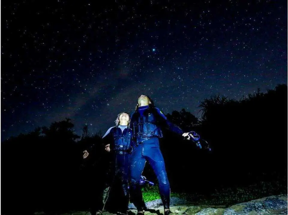 空いっぱいに広がる満点の星空