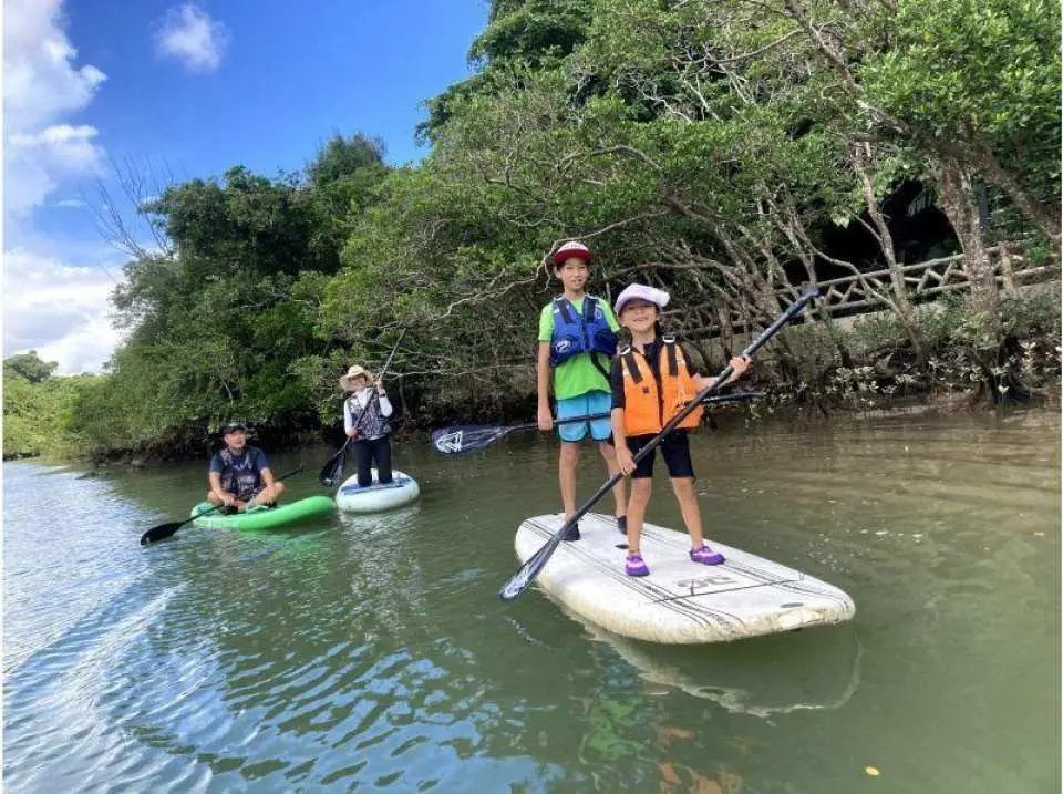 盡情享受希加河之旅吧！下水後，您將逆流而上。聆聽嚮導的講解，參與趣味問答，了解希加河和紅樹林的奧秘！

我們也會拍攝許多照片。