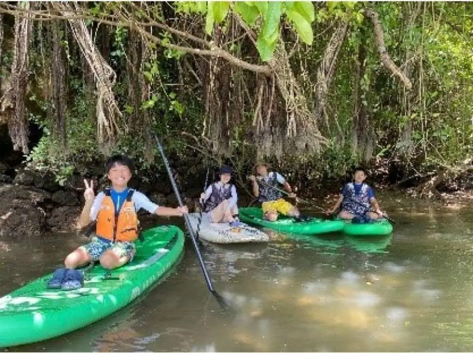 拍些紀念照。在樹蔭下拍紀念照！這是你旅途中的美好回憶。