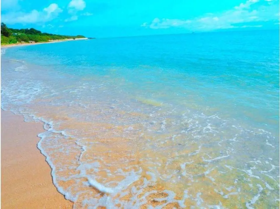 Spectacular natural coastline
