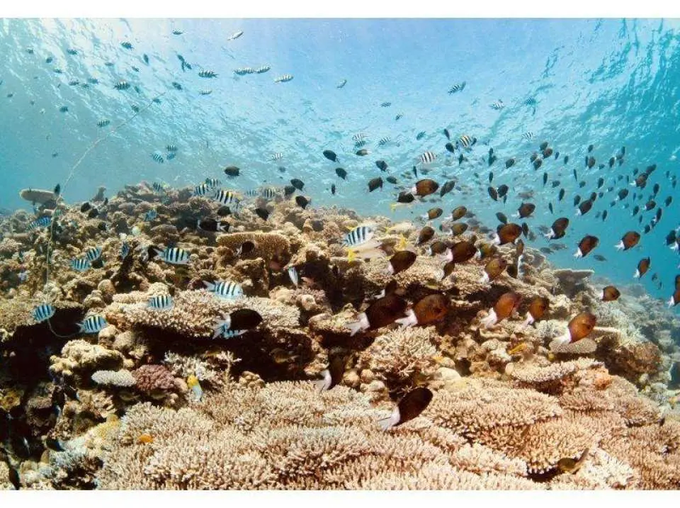 乘船前往釣魚地點非常方便！