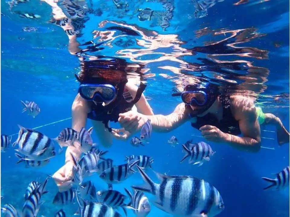 お魚パラダイス☆