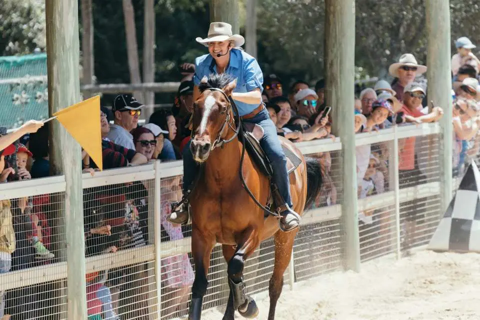澳洲天堂農莊精彩的黃金海岸馬術表演，一名經驗豐富的牲畜飼養員騎馬奔馳，觀眾熱情圍觀。